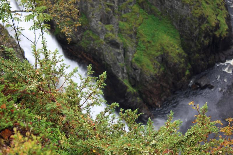 380-Voeringsfoss,25 agosto 2011.JPG